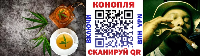 где купить наркоту  Кингисепп  Печенье с ТГК марихуана 