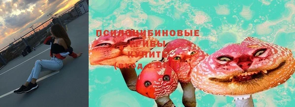 стаф Абинск