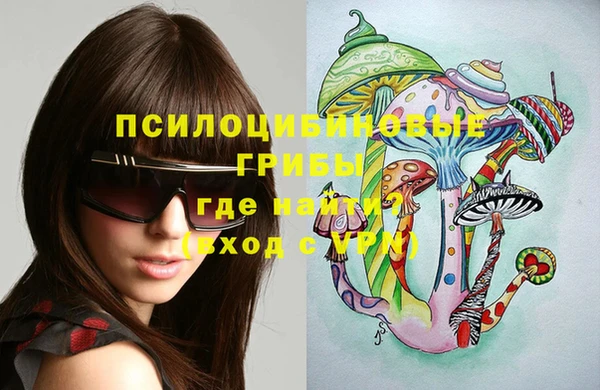 стаф Абинск