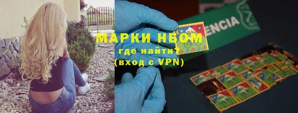 стаф Абинск