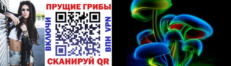Галлюциногенные грибы GOLDEN TEACHER  где купить наркоту  Кингисепп 